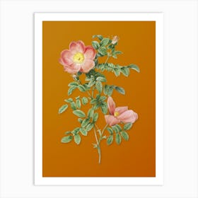 Vintage Red Sweetbriar Rose Botanical on Sunset Orange n.0632 Art Print