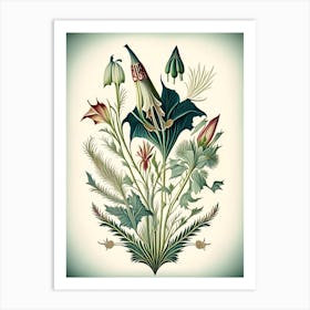 Arrowhead Wildflower Vintage Botanical Art Print