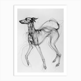 Greyhound Dog Charcoal Line 2 Art Print