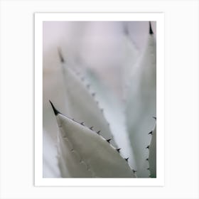 Agave Botanical minimal art Art Print