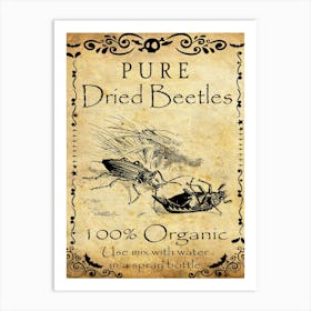 Pure Dry Beetles Art Print