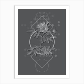 Vintage Rosa Redutea Glauca Botanical with Line Motif and Dot Pattern in Ghost Gray n.0110 Art Print