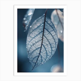 Leaf In Moon Light Art Print