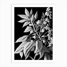 Spirea Leaf Linocut 2 Art Print