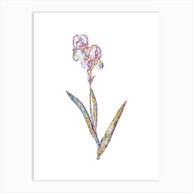 Stained Glass Tall Bearded Iris Mosaic Botanical Illustration on White n.0101 Art Print