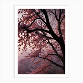 Cherry Blossoms 18 Art Print