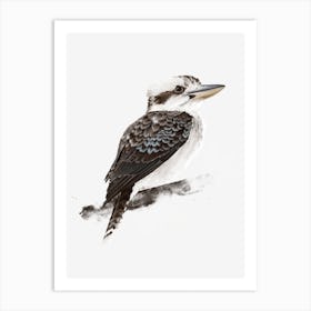 Kookaburra 1 Art Print