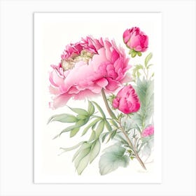 Peony Floral Quentin Blake Inspired Illustration 5 Flower Art Print