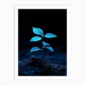 Small Green Plant On A Dark Background Art Print