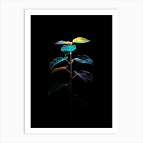 Plant In The Dark 29 Art Print