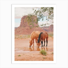 Utah Wild Horses Art Print
