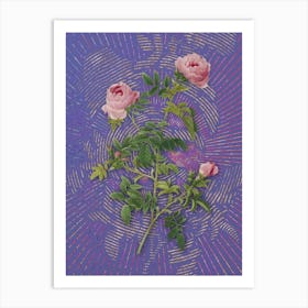 Vintage Rose of the Hedges Botanical Illustration on Veri Peri Art Print