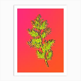 Neon Virginian Juniper Botanical in Hot Pink and Electric Blue Art Print