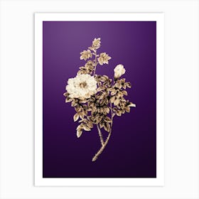 Gold Botanical Ventenat's Rose on Royal Purple n.0810 Art Print