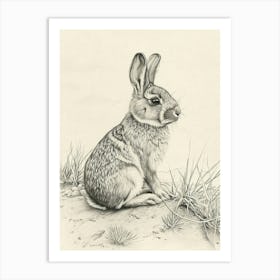 Chinchilla Rabbit Drawing 2 Art Print