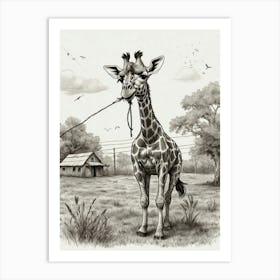 Giraffe 25 Art Print