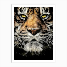 Close Up Portrait Of A Tiger Art Print