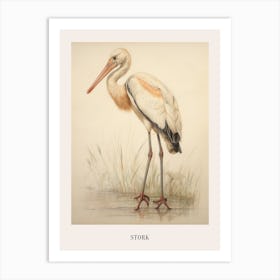 Vintage Bird Drawing Stork 3 Poster Art Print