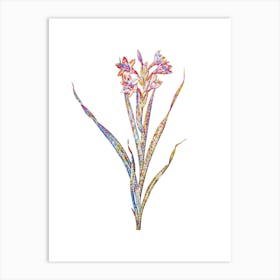 Stained Glass Sword Lily Mosaic Botanical Illustration on White n.0050 Art Print