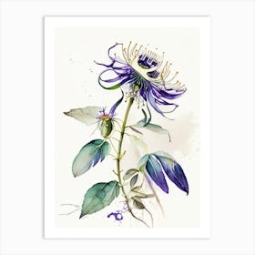 Passion Flower Herb Minimalist Watercolour 1 Art Print