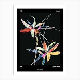 No Rain No Flowers Poster Bird Of Paradise 2 Art Print