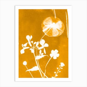 Yellow Poppies Flowers Art Print