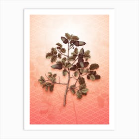 Kermes Oak Vintage Botanical in Peach Fuzz Hishi Diamond Pattern n.0138 Art Print