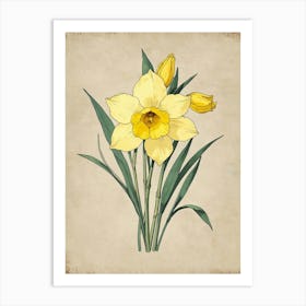 Daffodils 1 Art Print