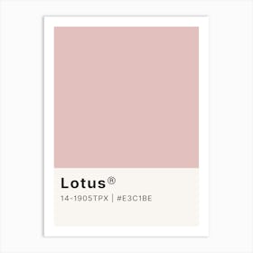 Lotus Art Print