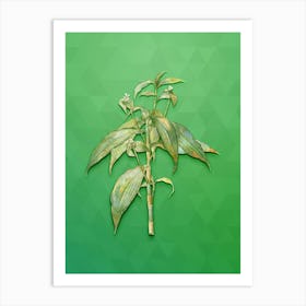 Vintage Commelina Zanonia Botanical Art on Classic Green n.0146 Art Print