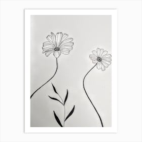 Marguerites  Art Print