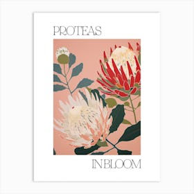 Proteas In Bloom Flowers Bold Illustration 2 Art Print