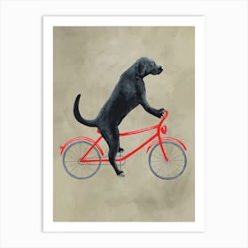 Labrador On Bicycle Art Print