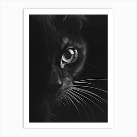Black Cat 27 Art Print