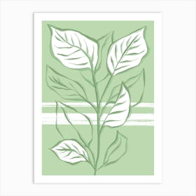 Big Green Plant Art Print