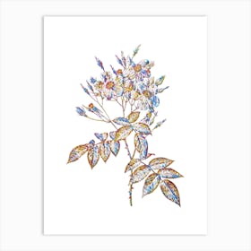Stained Glass Musk Rose Mosaic Botanical Illustration on White n.0026 Art Print