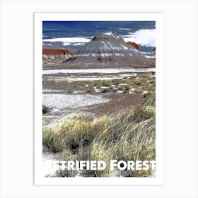 Petrified Forest, National Park, Nature, USA, Wall Print, Art Print