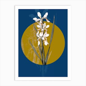 Vintage Botanical Yellow Banded Iris on Circle Yellow on Blue Art Print