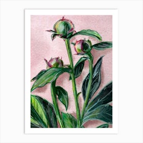 Peony Floral Watercolor Painting Art Print