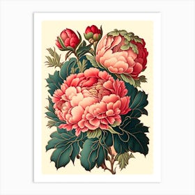 Coral Charm Peonies Vintage Botanical Art Print