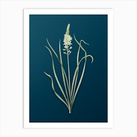 Vintage Wild Asparagus Botanical Art on Teal Blue n.0873 Art Print