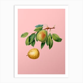 Vintage Pear Botanical on Soft Pink n.0879 Art Print