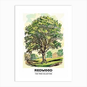 Redwood Tree Storybook Illustration 1 Poster Art Print