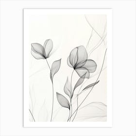 Black And White Flowers Art Print