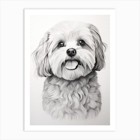 Maltese Dog, Line Drawing 3 Art Print