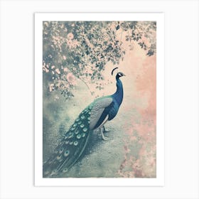 Vintage Peacock On A Path Cyanotype Inspired 2 Art Print