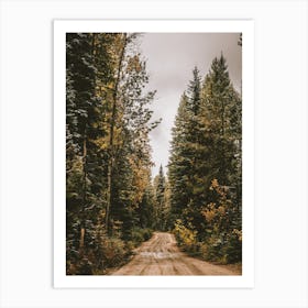 Woodland Forest Road Art Print