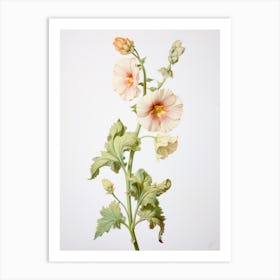 Pressed Flower Botanical Art Hollyhock 2 Art Print