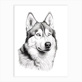 Siberian Husky Dog, Line Drawing 2 Art Print