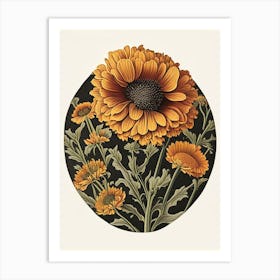 Calendula Herb Vintage Botanical Art Print